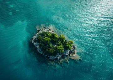 Green Escapes to Parrot Island